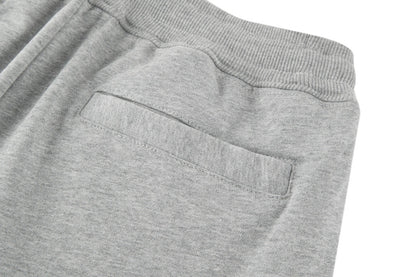 Dior Icons Track Pants "Gray Cotton Jersey"