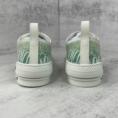 Dior x Shawn B23 Low "Multicolour"