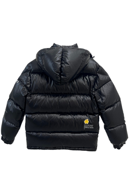 Fragment Design x Moncler Anthemiock Down Jacket "Black"