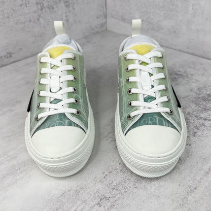 Dior x Shawn B23 Low "Multicolour"