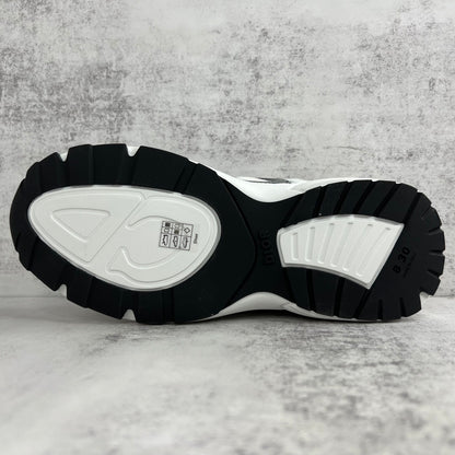 Dior B30 "White-Grey"