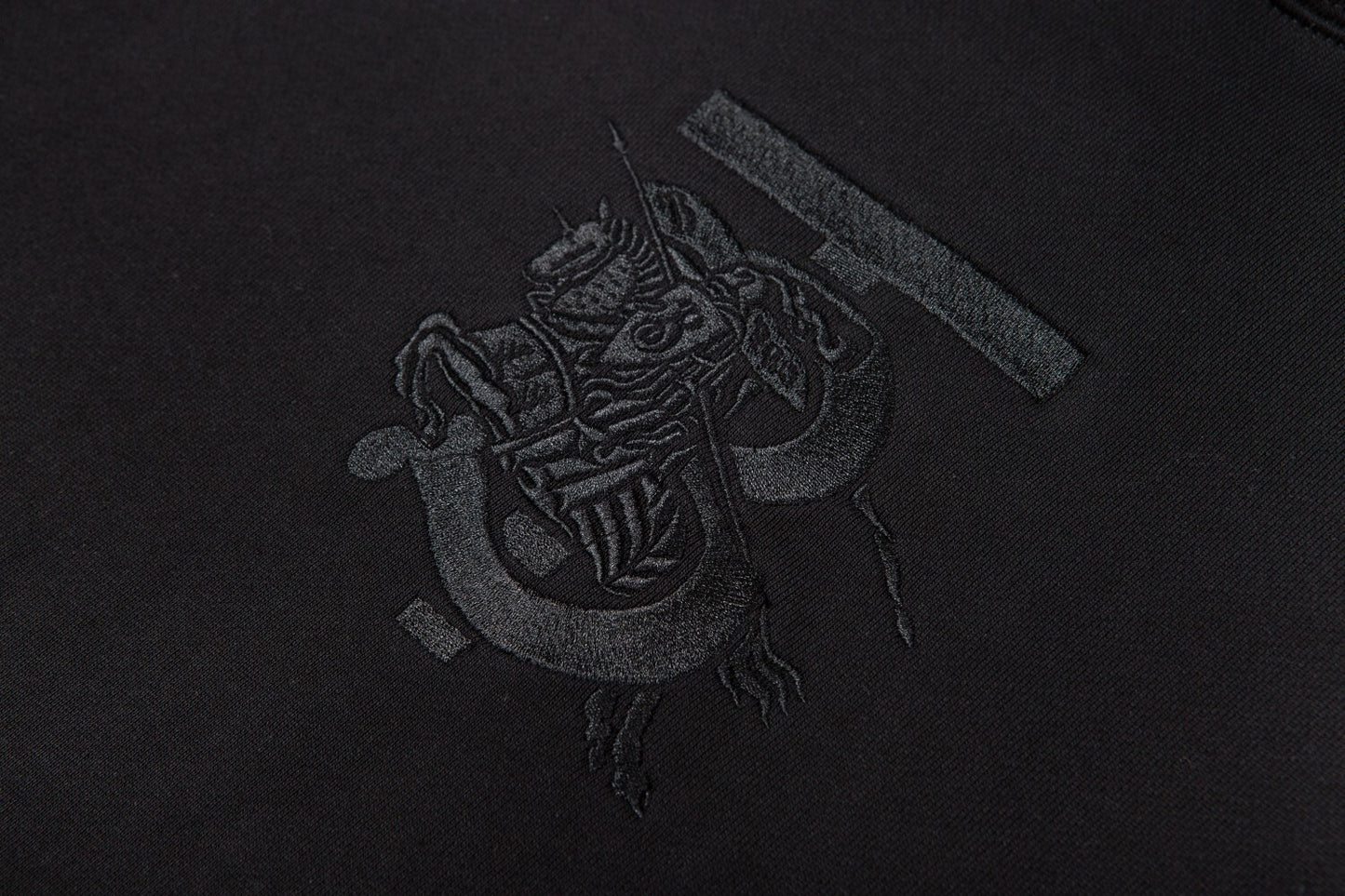 Burberry Titan Hoodie "Black"