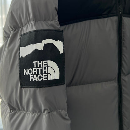 Invincible x The North Face Nuptse "Multi"