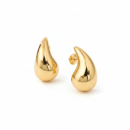 Bottega Veneta Drop Earrings