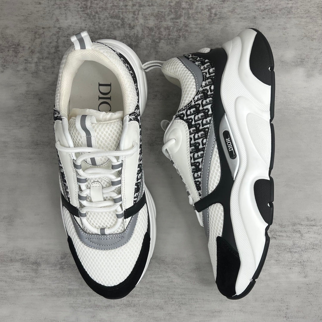 Dior B22 "White-Black-Grey"