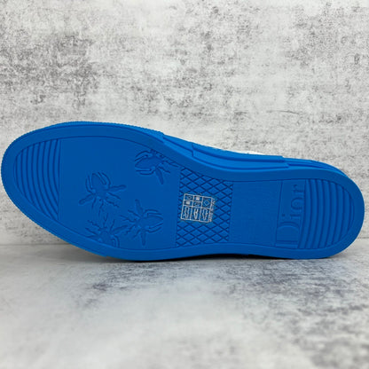 Dior B23 Low "Blue-White"