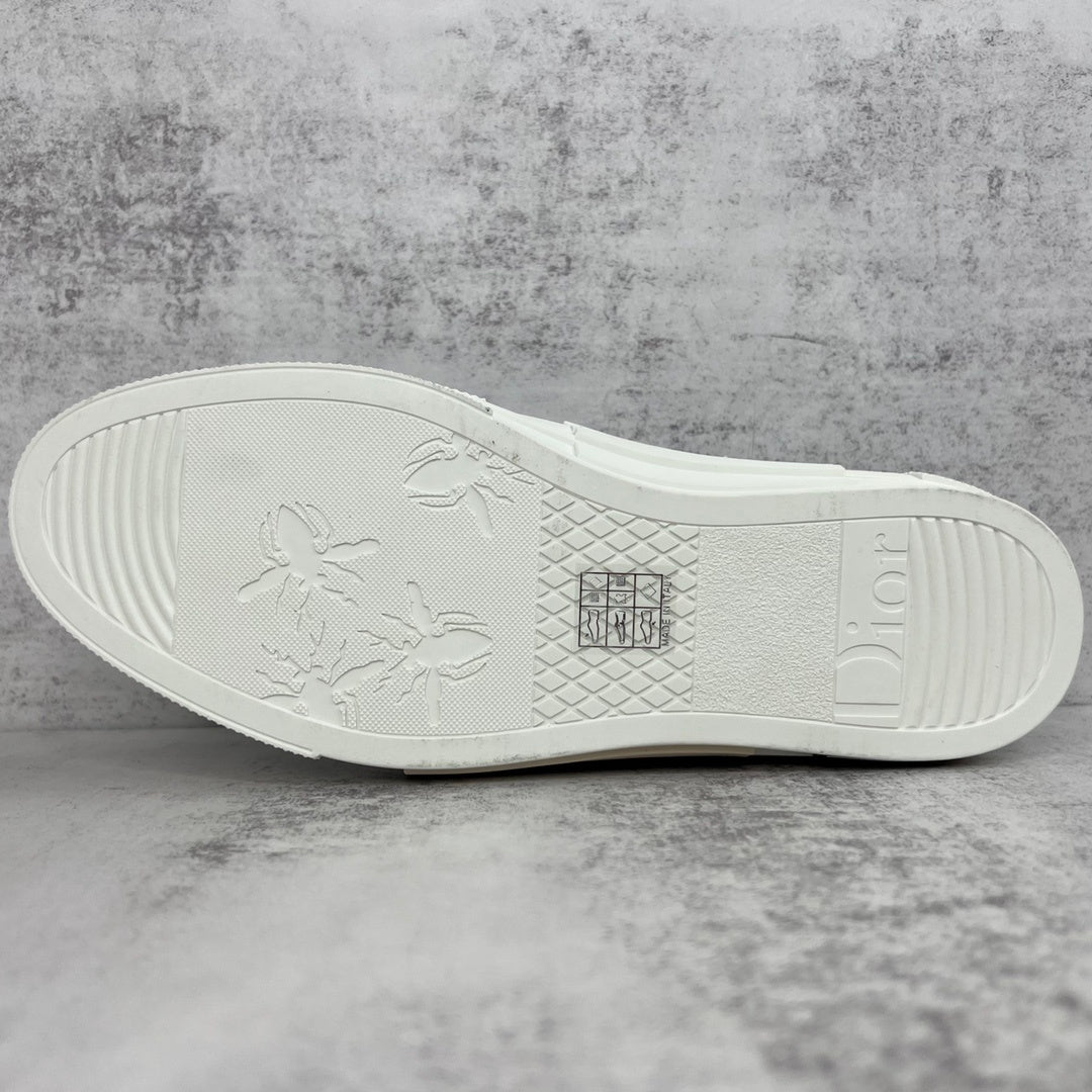 Dior B23 Slip-On "Blue-White"