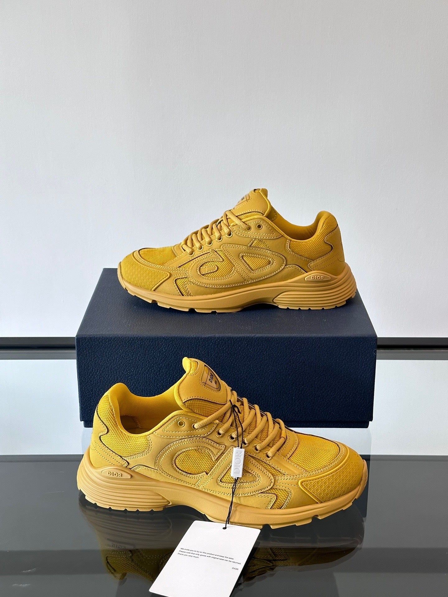 Dior x Stone Island B30 "Yellow"