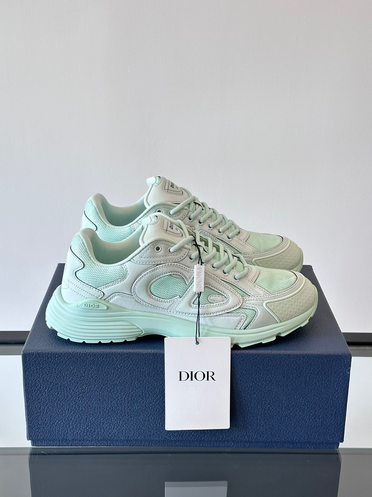 Dior x Stone Island B30 "Light Green"