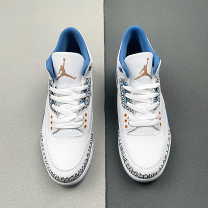 Air Jordan 3 Retro "Wizards"