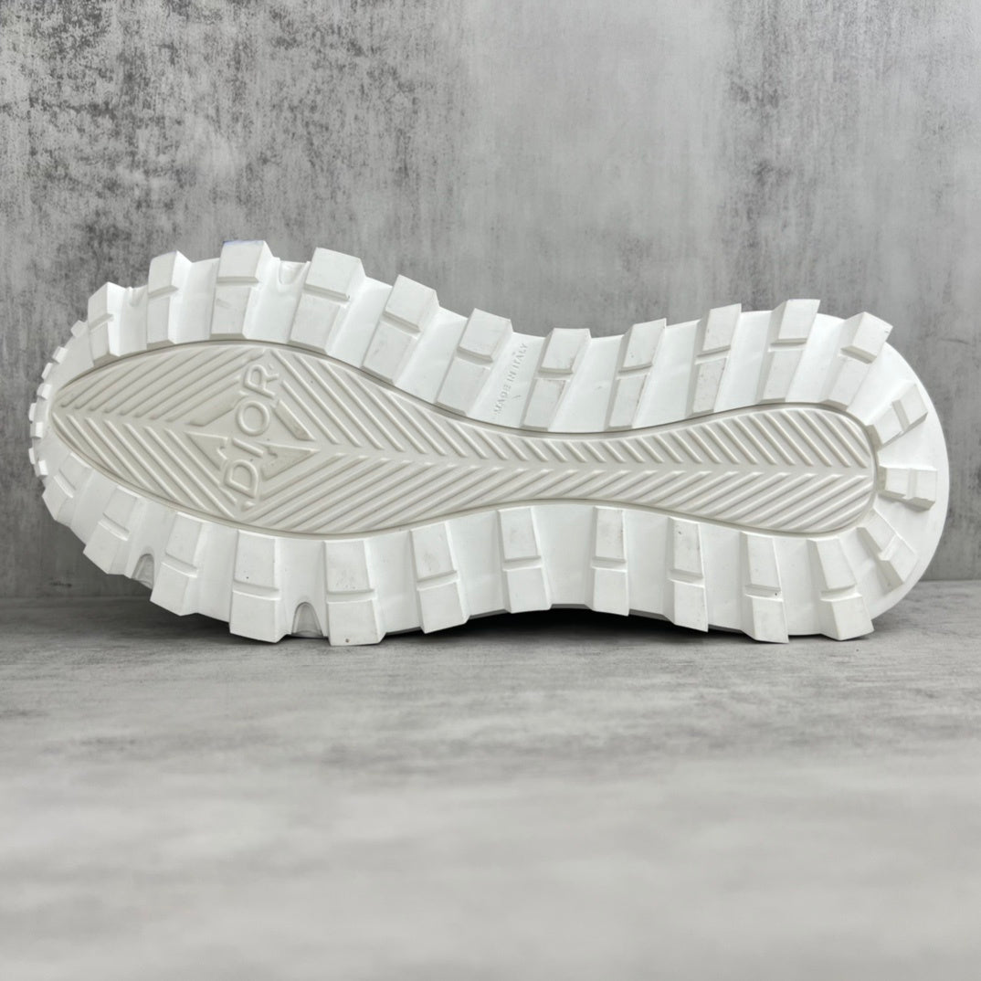 Dior B31 "White-Grey"