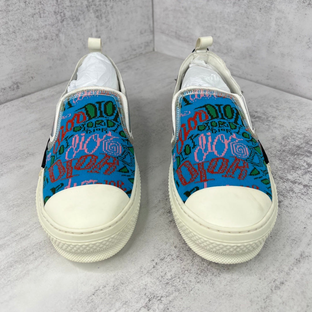 Dior x Shawn B23 Slip-On "Multicolour"