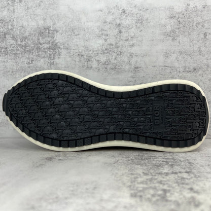 Dior B29 "Brown-Green"