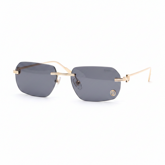 Cartier CT0271S Sunglasses