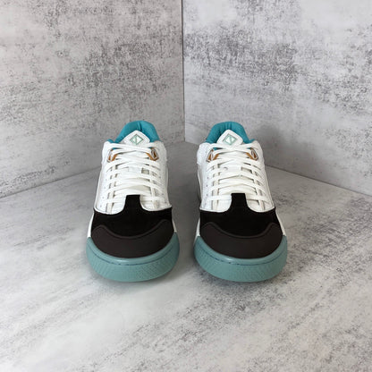 Dior X Cactus Jack B713 "White-Brown-Blue"