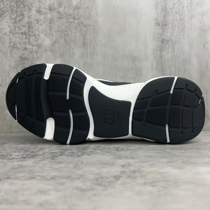 Dior B22 "White-Black-Grey"