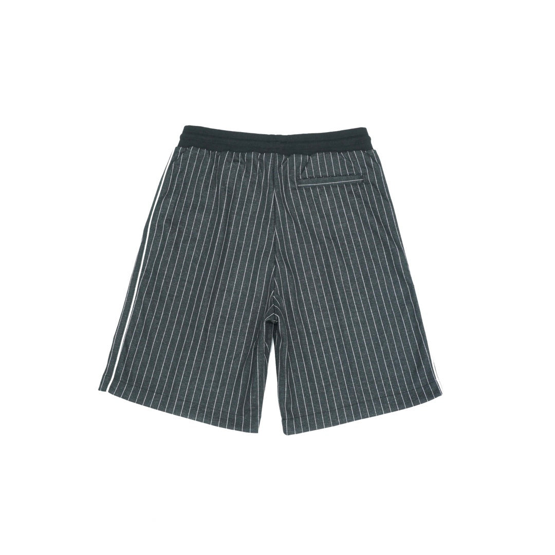 Dior Shorts "Grey"