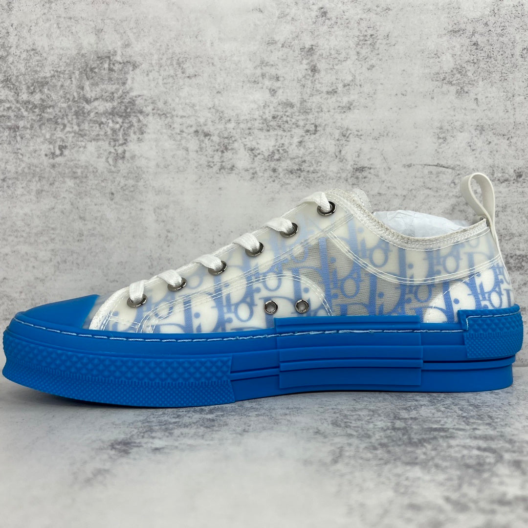 Dior B23 Low "Blue-White"