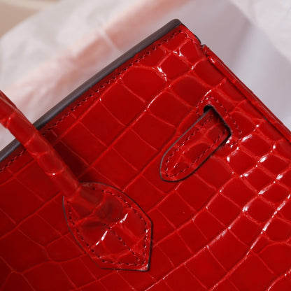 Hermès Crocodile Birking 35