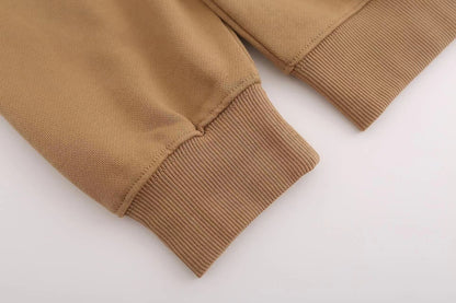 Balenciaga Paris Laurel Hoodie "Brown"