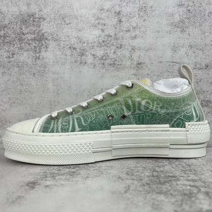 Dior x Shawn B23 Low "Multicolour"