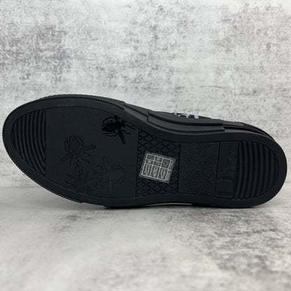 Dior B23 High-Top "Black-White"