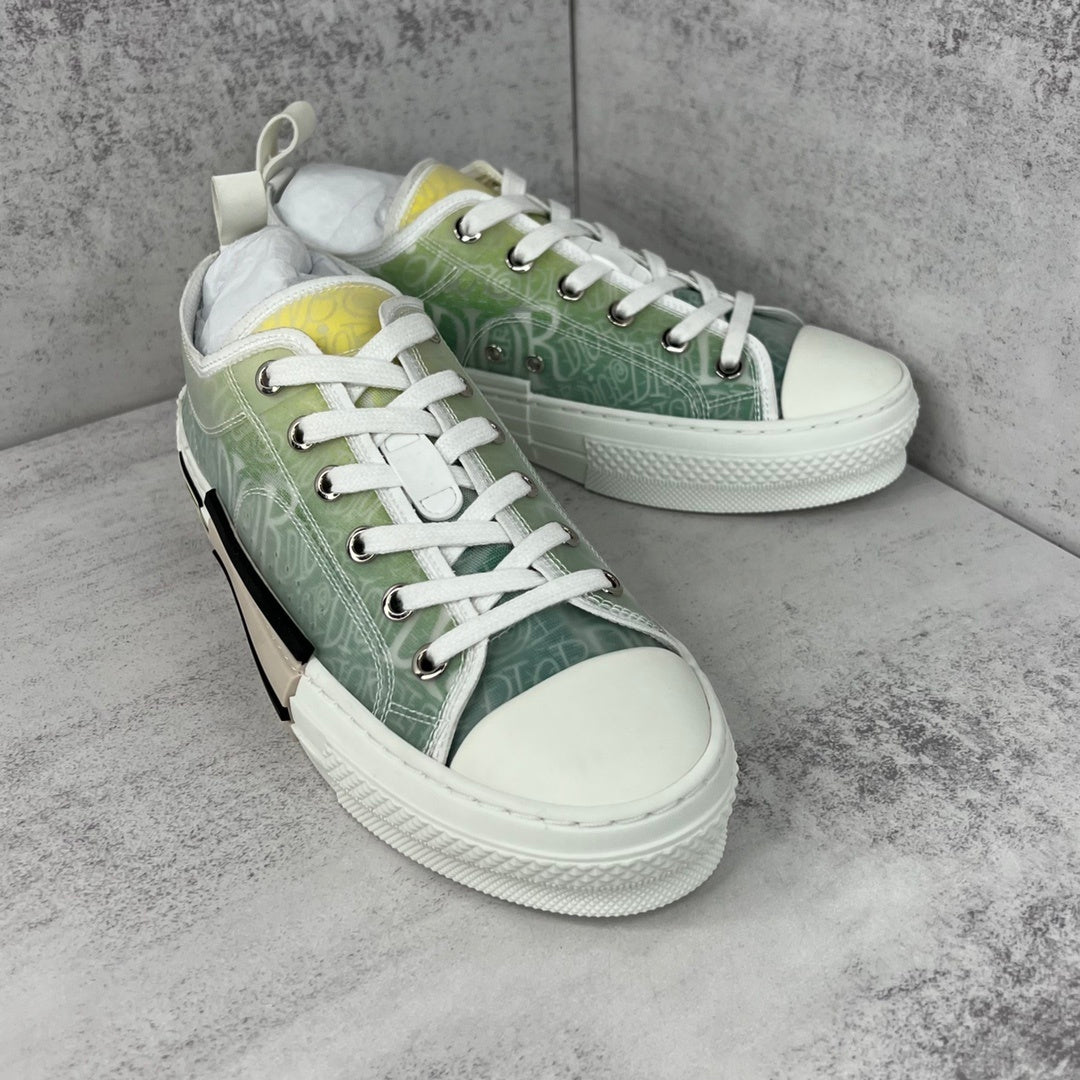 Dior x Shawn B23 Low "Multicolour"