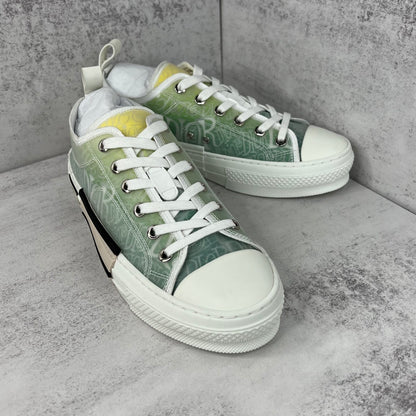 Dior x Shawn B23 Low "Multicolour"