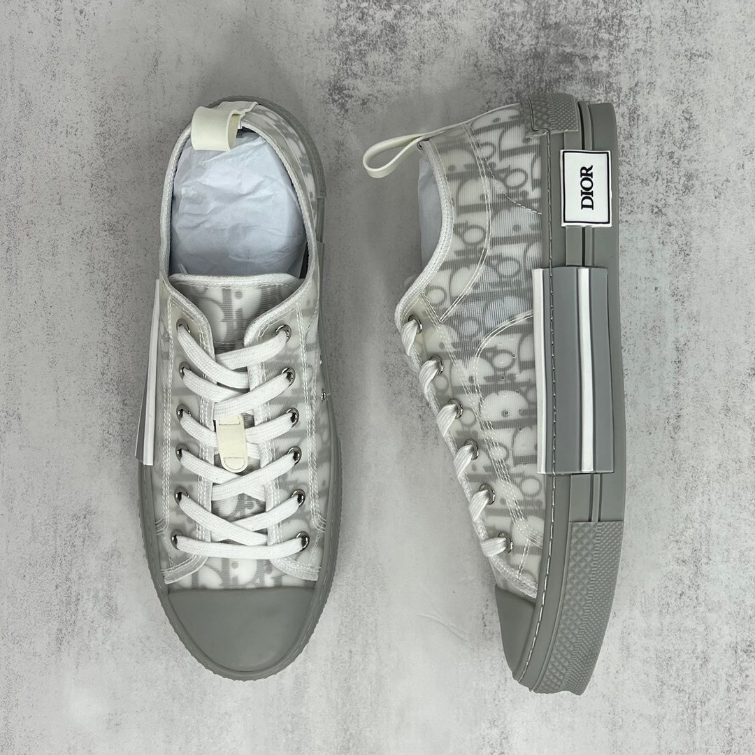 Dior B23 Low "Grey-White"