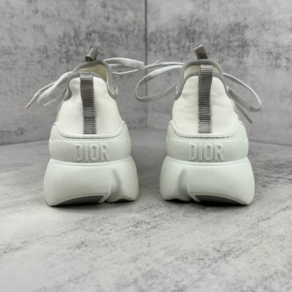 Dior D-Connect "White-Grey"