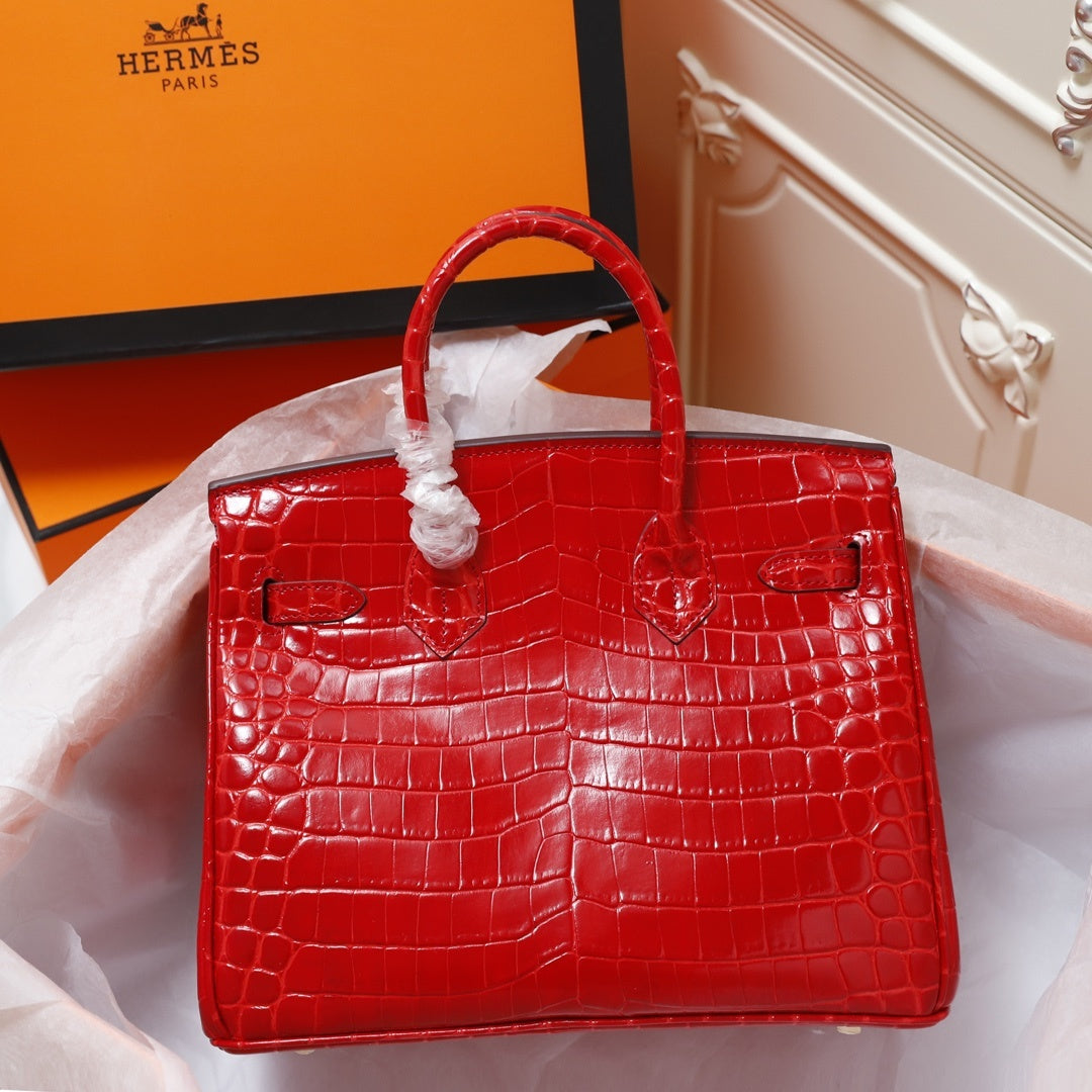 Hermès Crocodile Birking 35