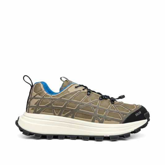 Dior B31 "Brown"