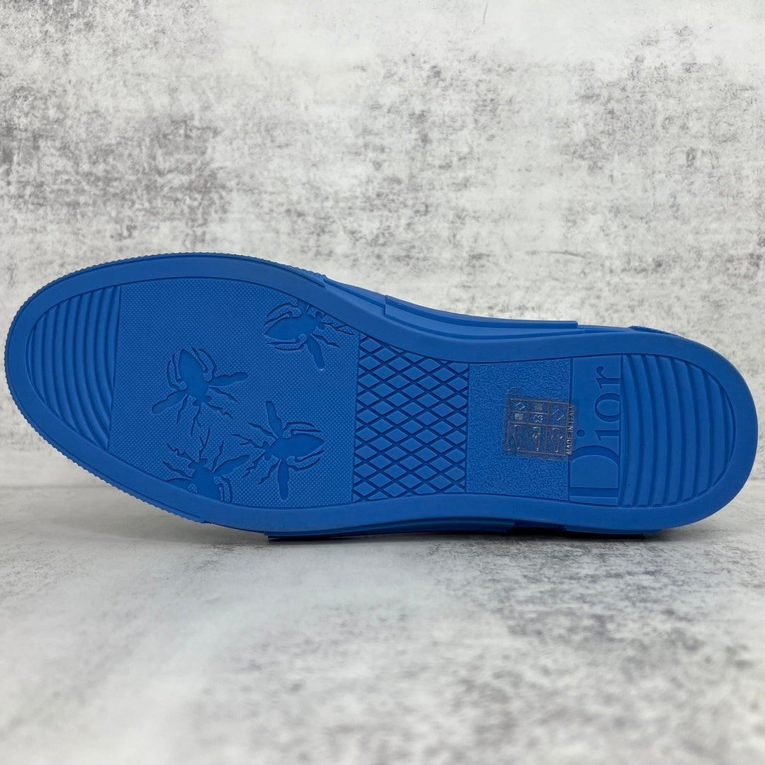 Dior B23 High-Top "Blue-White"