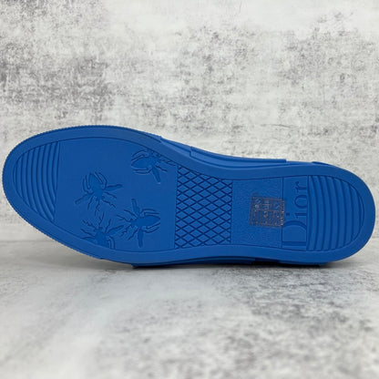 Dior B23 High-Top "Blue-White"
