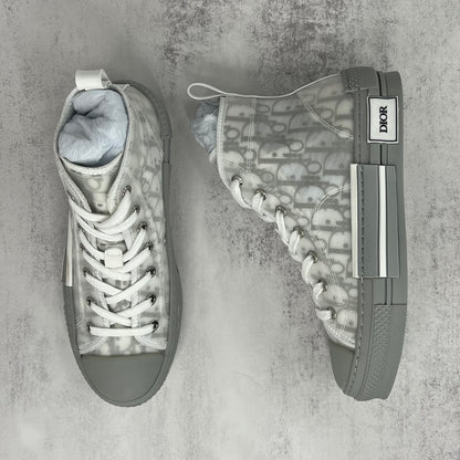 Dior B23 High-Top "Grey-White"