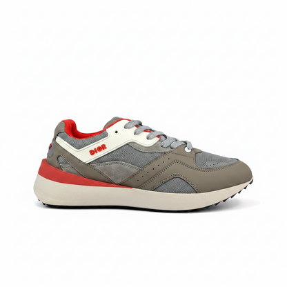 Dior B29 "Grey-Brown-Red"