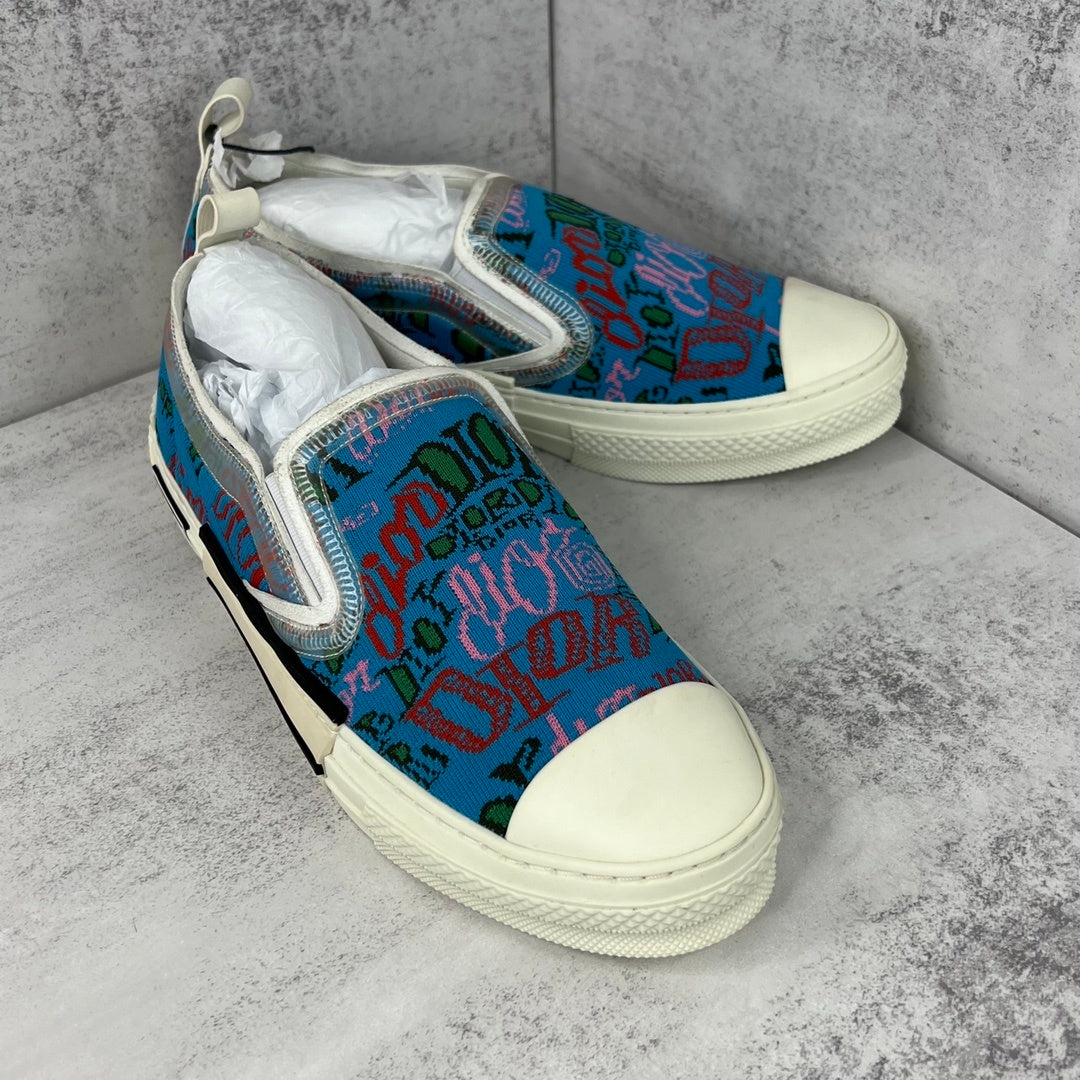 Dior x Shawn B23 Slip-On "Multicolour"