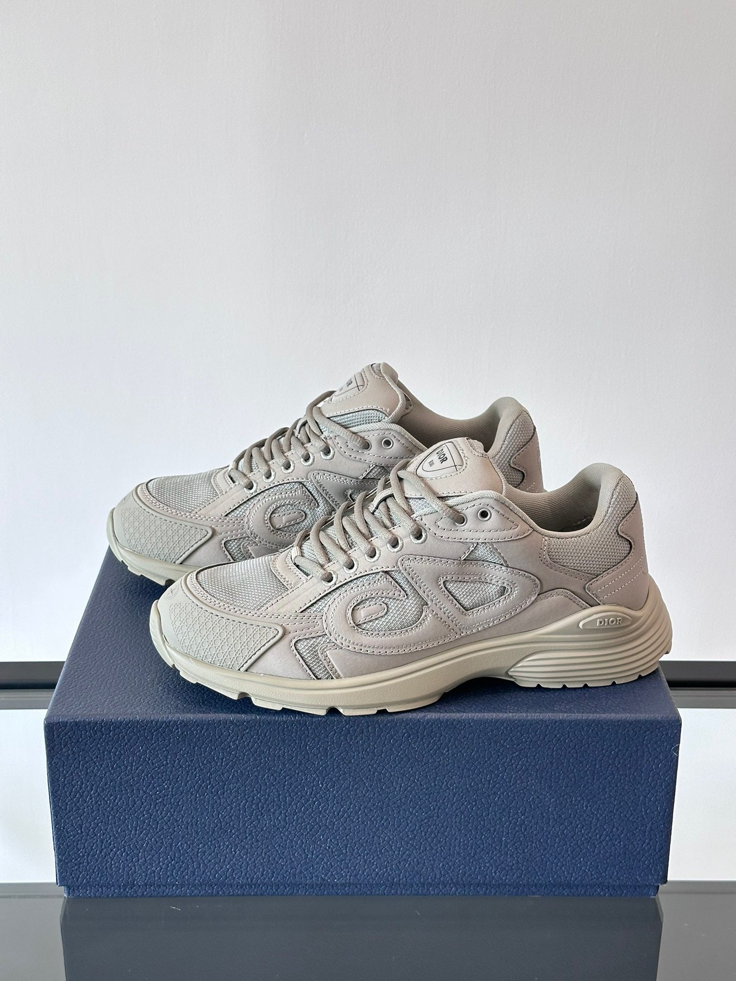 Dior x Stone Island B30 "Gray"