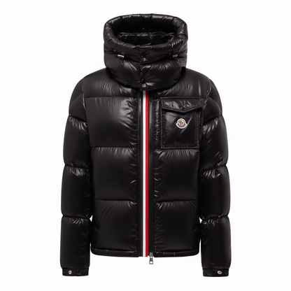 Moncler Montbeliard Hooded Down Jacket "Black"